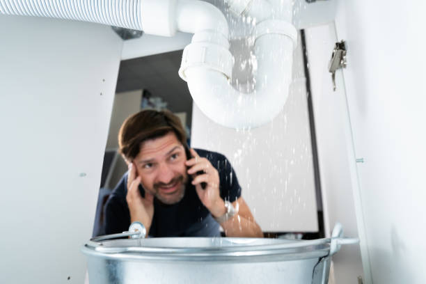 Best Septic Systems  in Louisville, NE